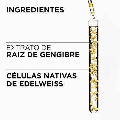 Genesis Fondant Renforçateur